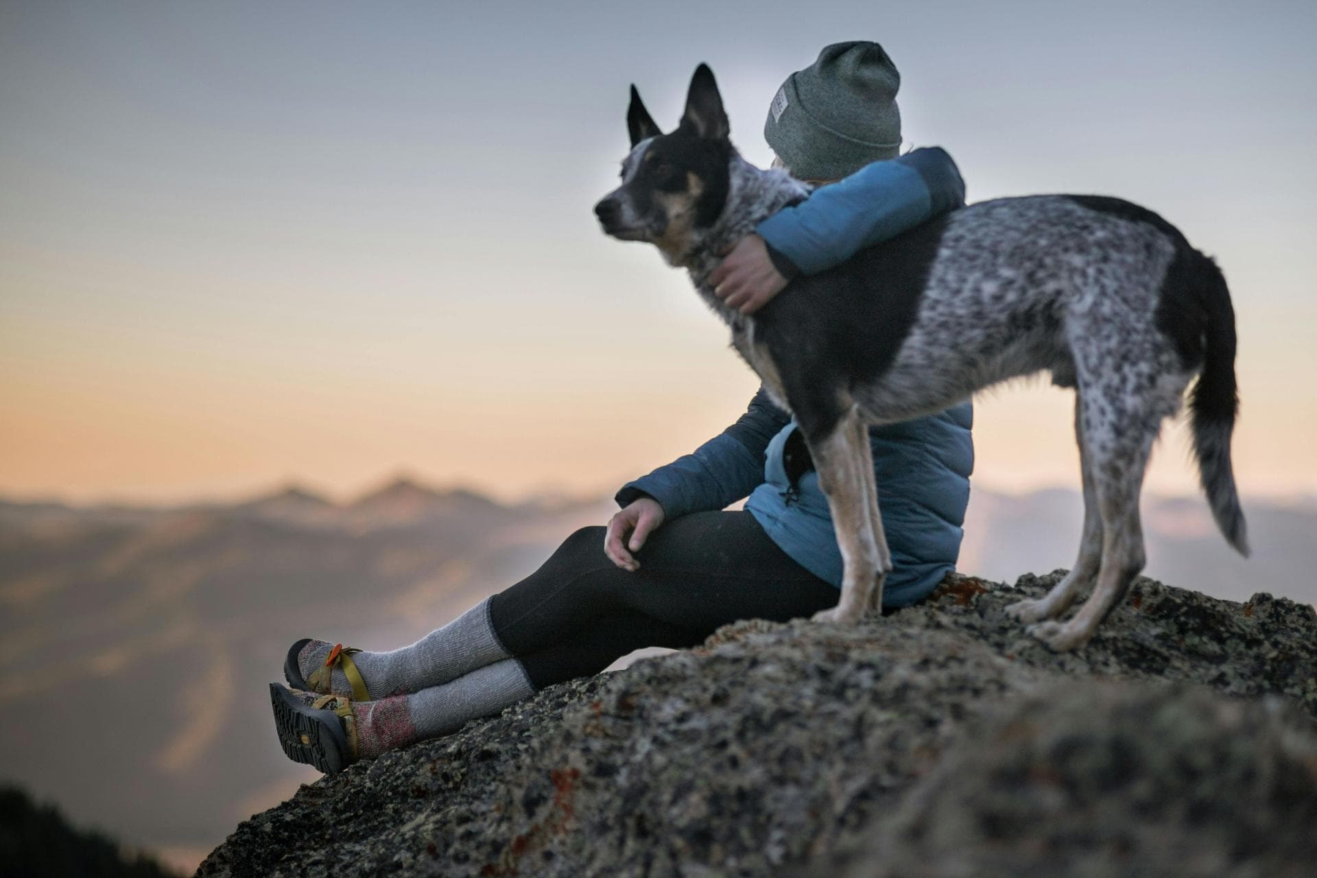 Specialist Vets in Augusta
